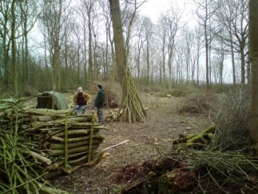 Coppicing Queen Mary's Wood